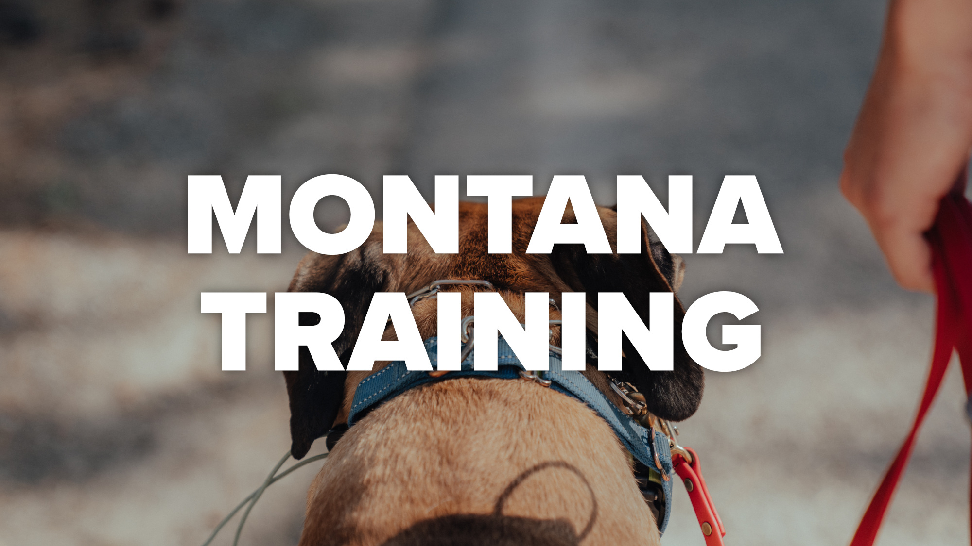 montana